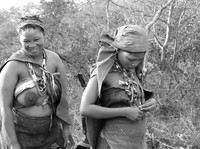 Junxwazy bushmen