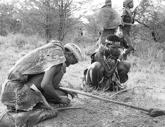 Junxwazy bushmen