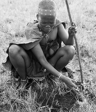 Junxwazy bushmen