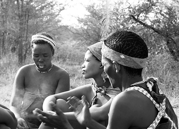 Junxwazy bushmen
