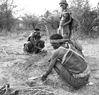 Junxwazy bushmen
