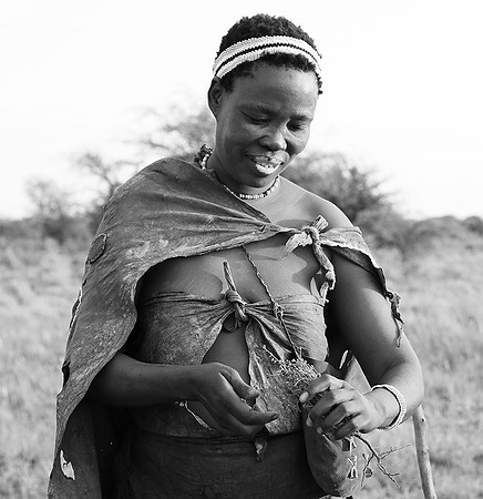 Junxwazy bushmen