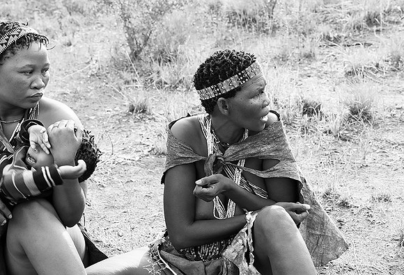 Junxwazy bushmen