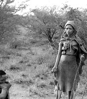 Junxwazy bushmen