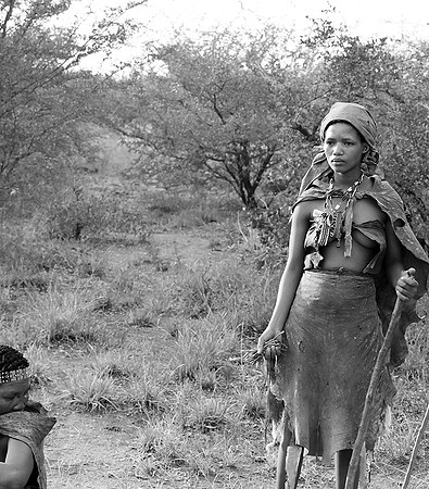 Junxwazy bushmen
