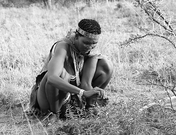Bushmen - Makgadikgadi