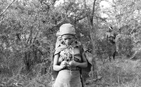 Junxwazy bushmen