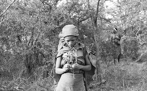 Junxwazy bushmen
