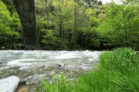 Andorre