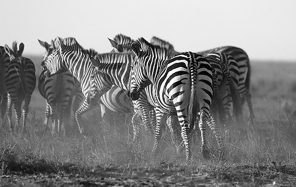 Liuwa Plain NP