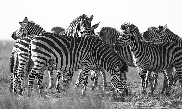 Liuwa Plain NP