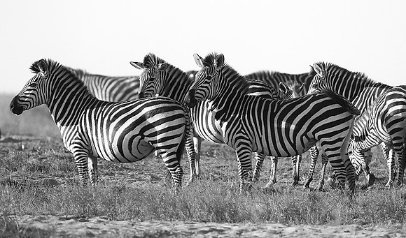 Liuwa Plain NP
