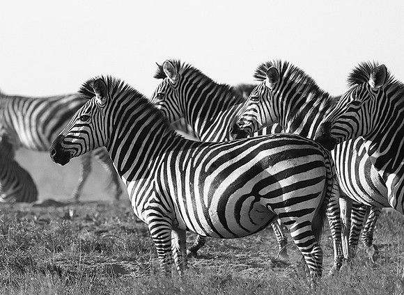 Liuwa Plain NP