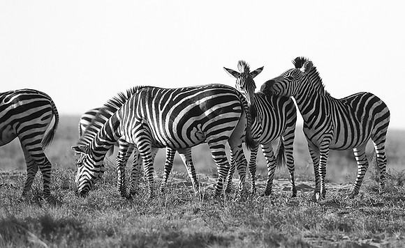 Liuwa Plain NP