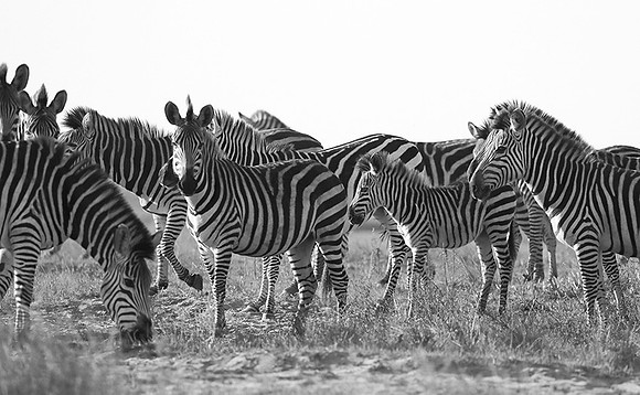 Liuwa Plain NP
