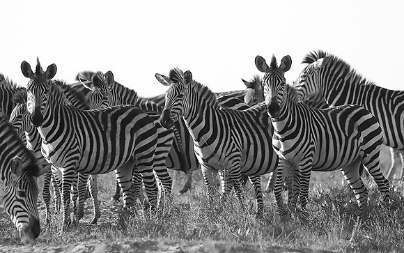 Liuwa Plain NP