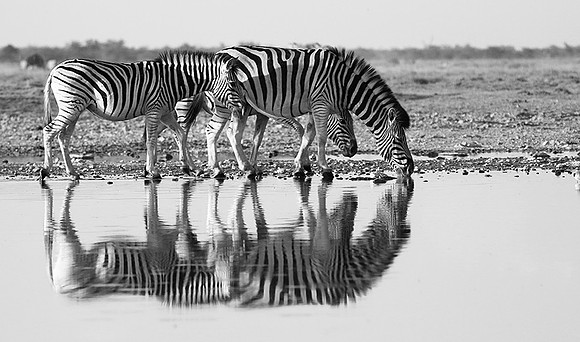 Makgadikgadi