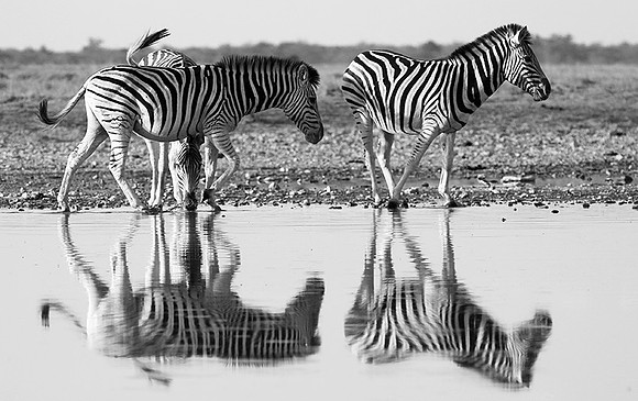 Makgadikgadi