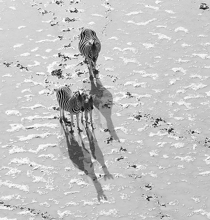 Helicopter flight over Makgadikgai