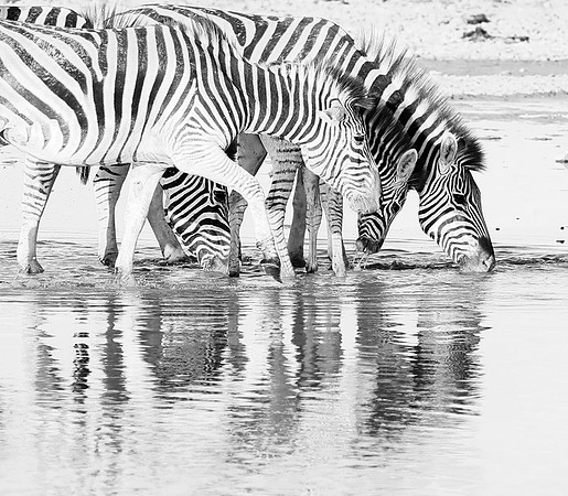 Makgadikgadi