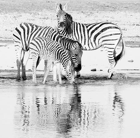 Makgadikgadi