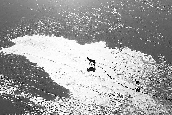 Helicopter flight over Sua Pan - Makgadikgadi