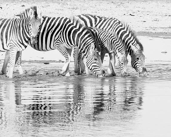 Makgadikgadi