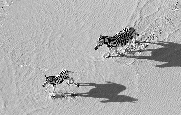 Helicopter flight over Sua Pan - Makgadikgadi