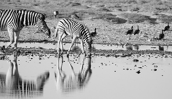Makgadikgadi