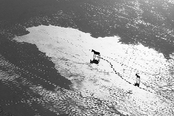 Helicopter flight over Sua Pan - Makgadikgadi