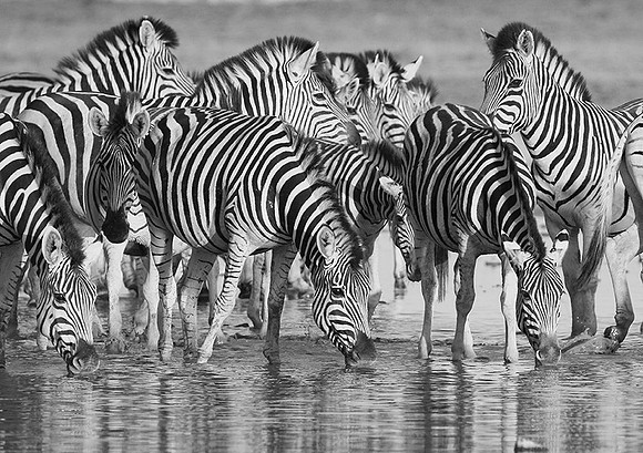 Makgadikgadi