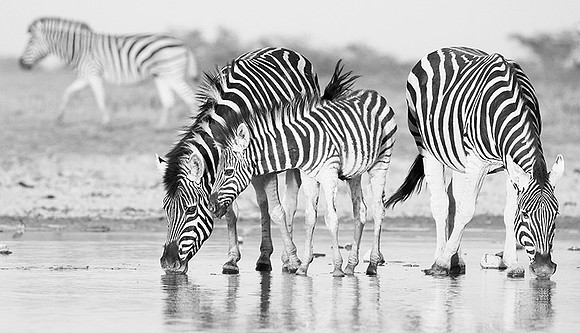 Makgadikgadi