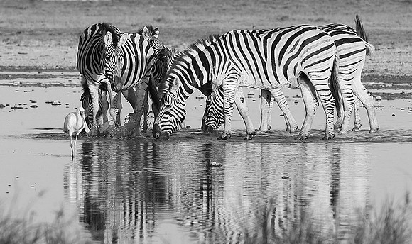 Makgadikgadi