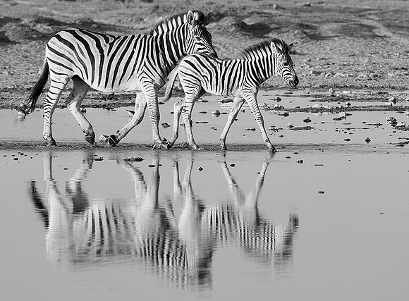 Makgadikgadi