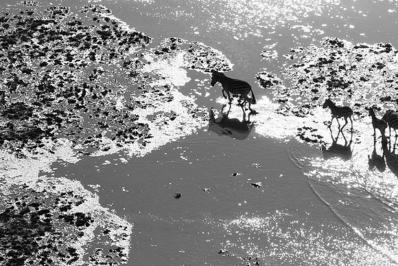 Helicopter flight over Sua Pan - Makgadikgadi