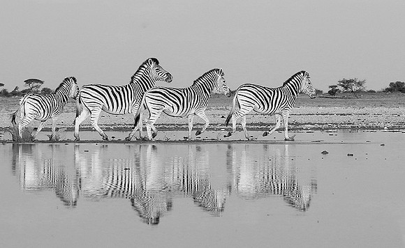 Makgadikgadi