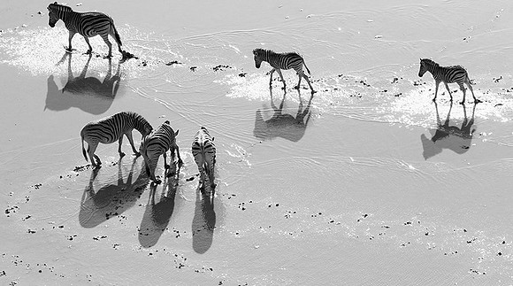 Helicopter flight over Makgadikgai