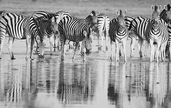 Makgadikgadi