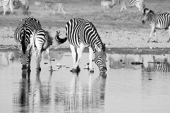 Makgadikgadi