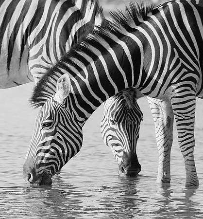 Makgadikgadi