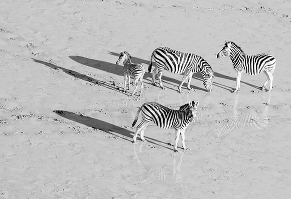 Helicopter flight over Makgadikgai
