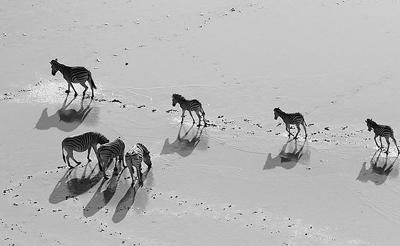 Helicopter flight over Makgadikgai