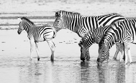 Makgadikgadi