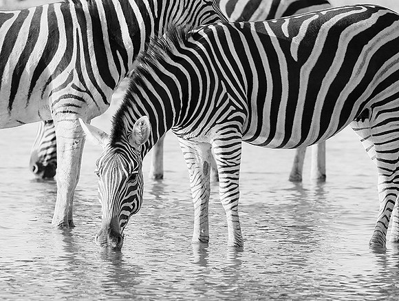 Makgadikgadi