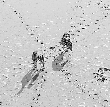 Helicopter flight over Makgadikgai