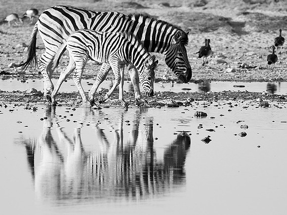 Makgadikgadi