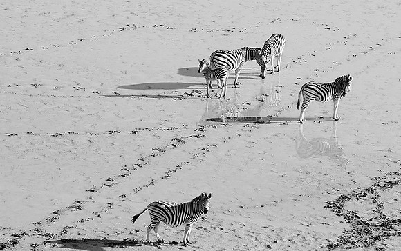 Helicopter flight over Makgadikgai