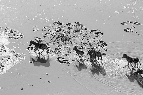 Helicopter flight over Sua Pan - Makgadikgadi