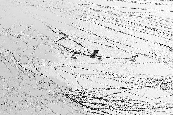 Helicopter flight over Sua Pan - Makgadikgadi
