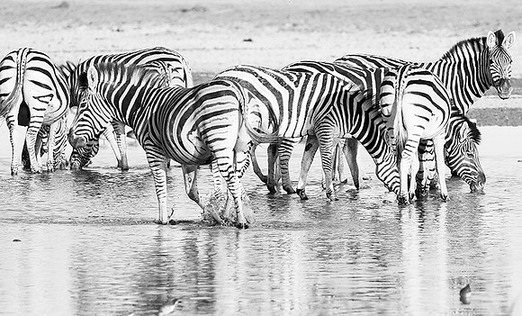 Makgadikgadi